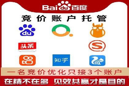 案例分析：百度竞价托管助力行业龙头